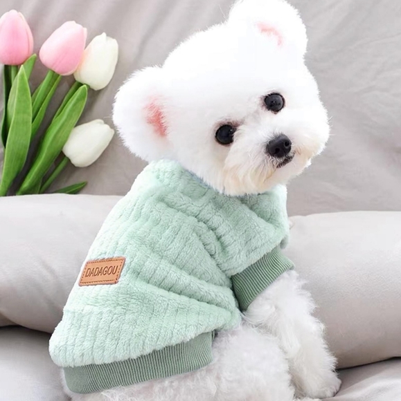 Dog Sweater Large Mint Green